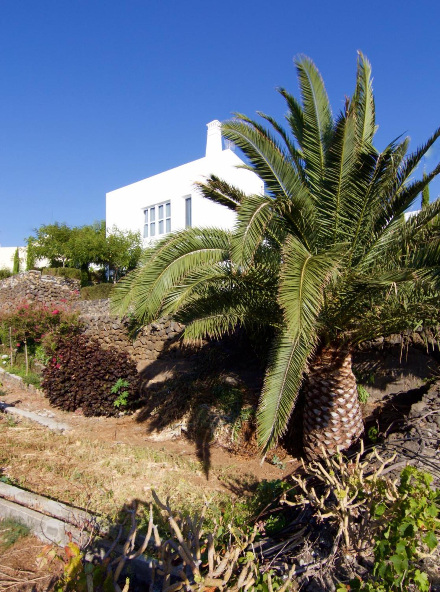 Casa La Brena La Palma Vila Breña Baja Exterior foto